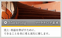 Marketing／マーケティング領域
